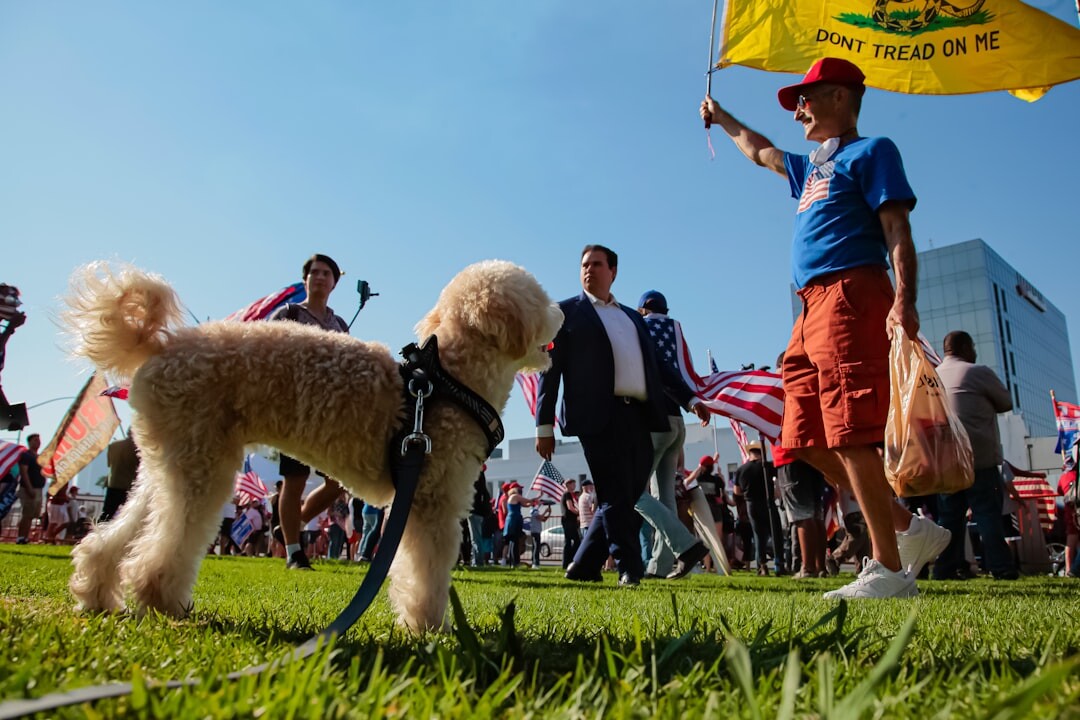 supporters at campaign rally